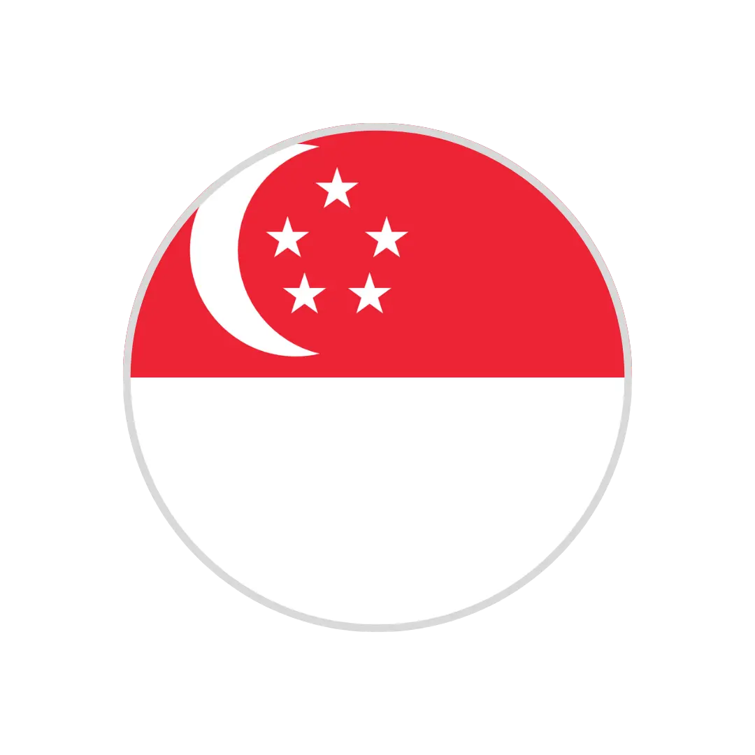 Singapore RTG